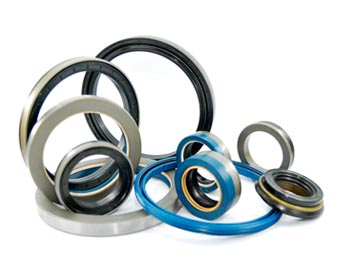 Oil Seals Bearings Industrial Supply
